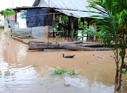 Mưa lớn gây ngập nước ở nhiều nơi trên địa bàn huyện 